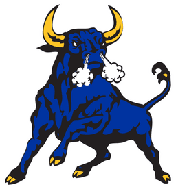 Northwestern Senior High banner logo