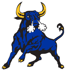 Northwestern Senior High banner logo