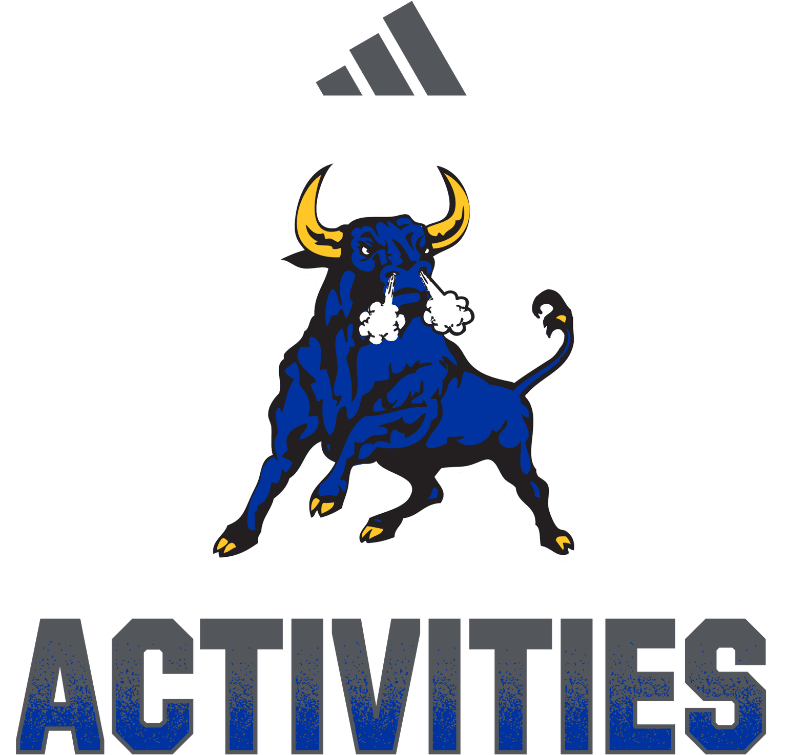 ACTIVITIES