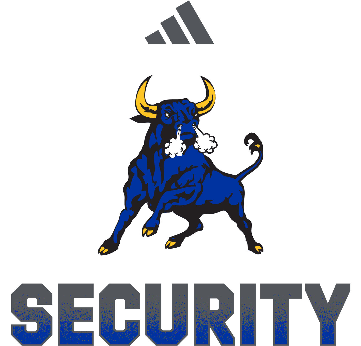SECURITY